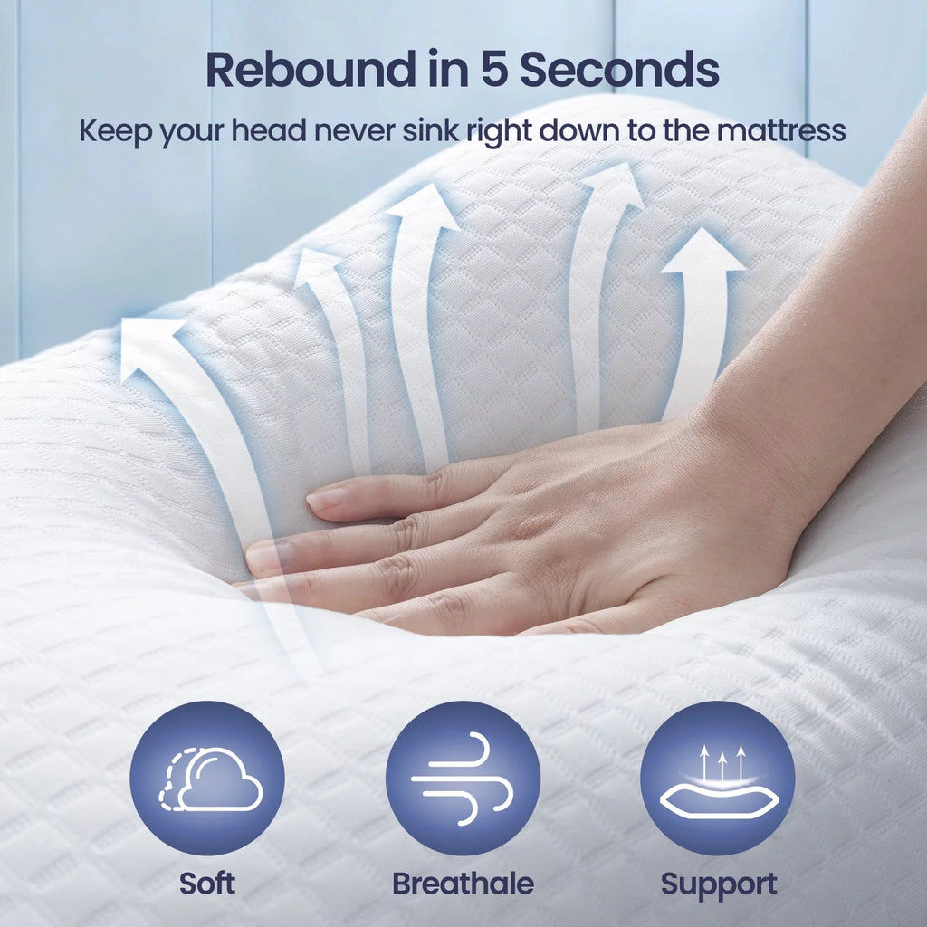 2 Pack Down Alternative Pillows with Removable Cover V8469