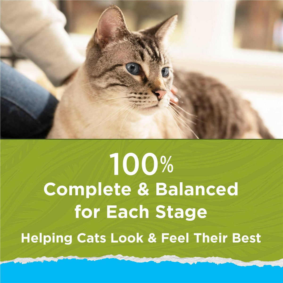 Indoor Dry Cat Food D235