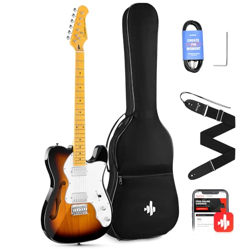 39 Inch Full Size Hollow Electric Guitar with H-H Pickups F87859