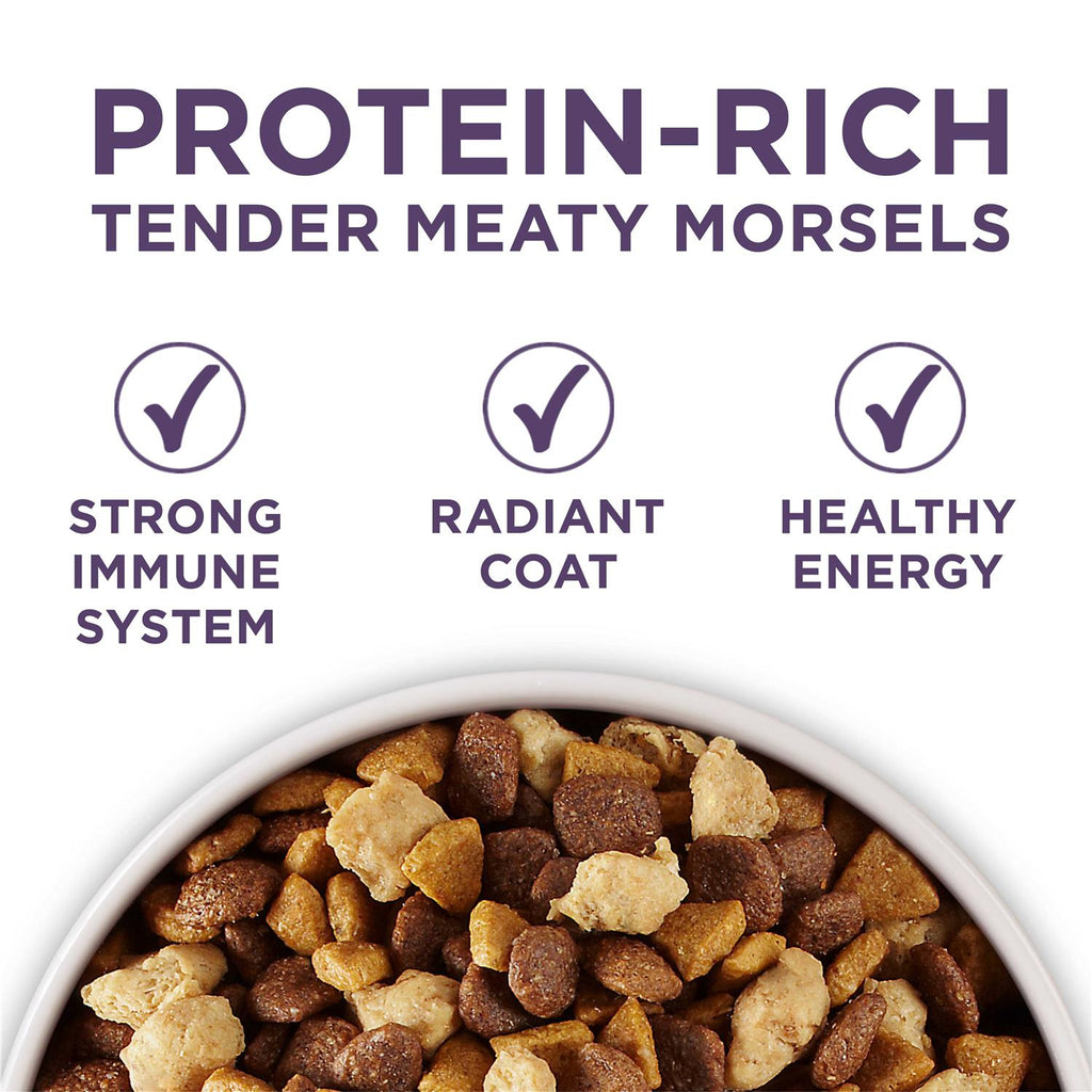 Adult Dry Dog Food Y11194