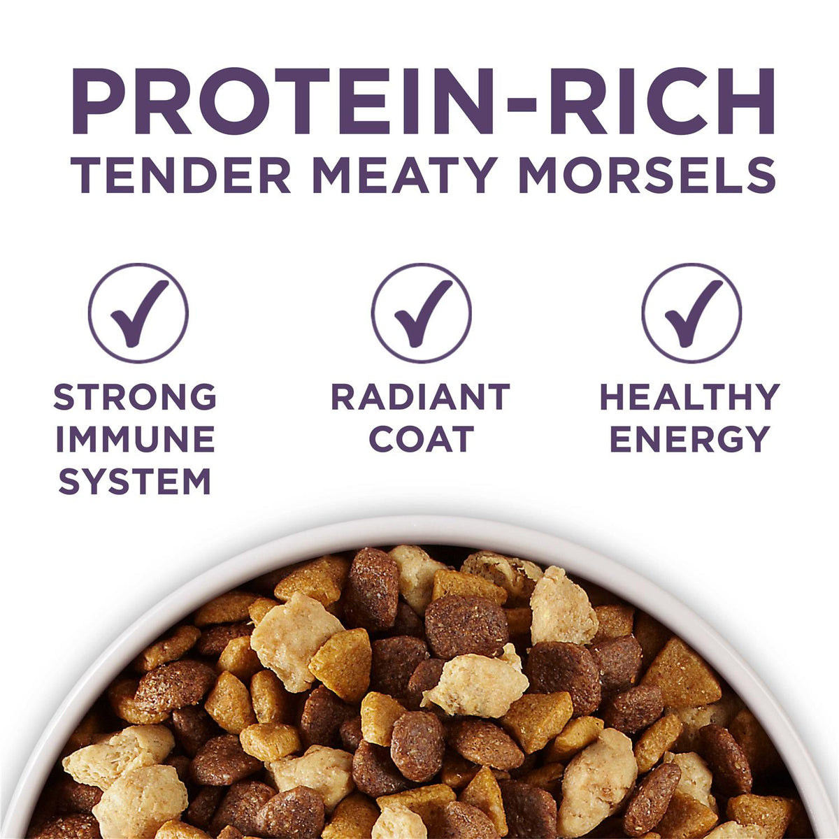 Adult Dry Dog Food Y11194