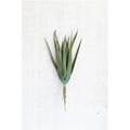 Artificial Aloe Stem Case of 6 L80391