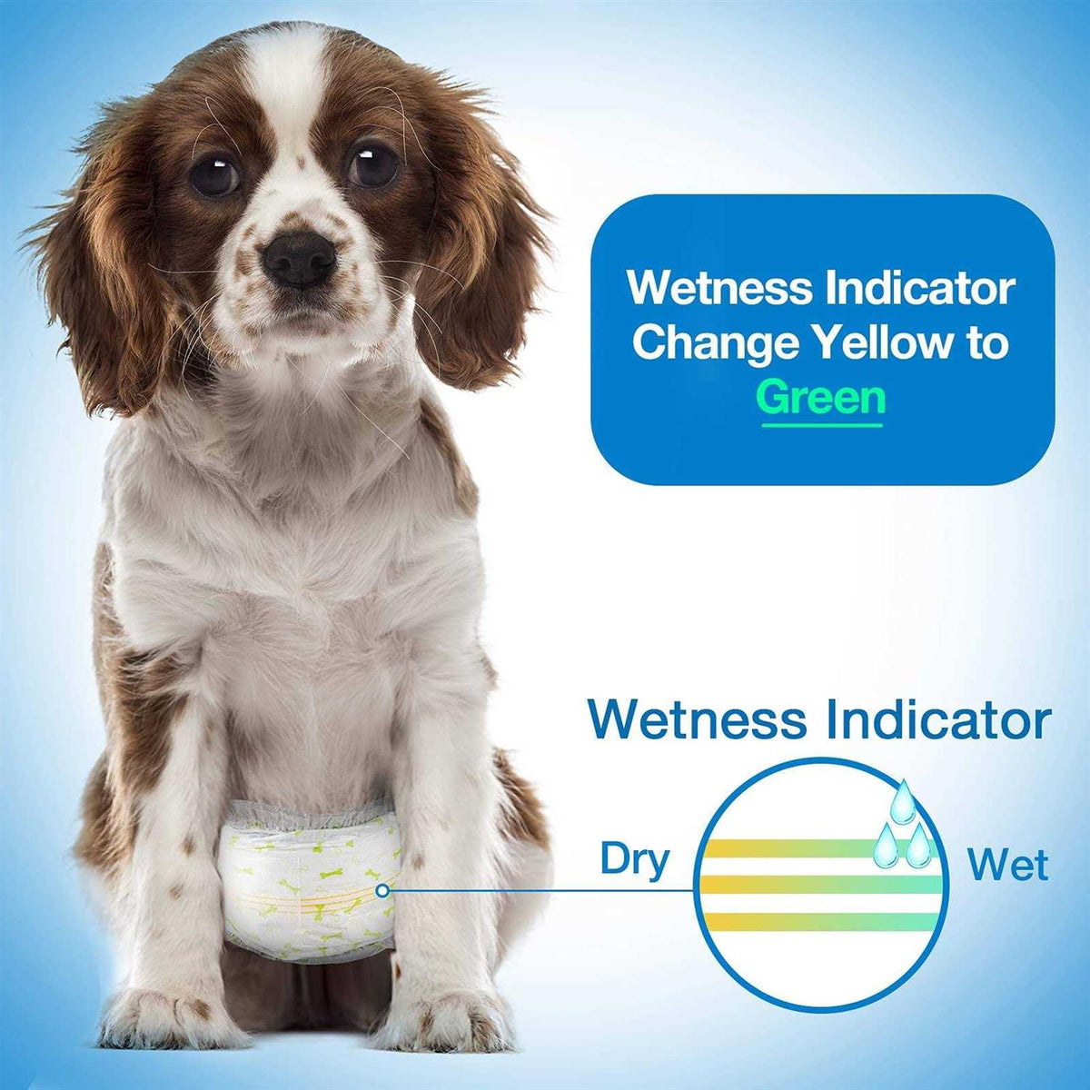Soft Disposable Male Dog Wraps S550