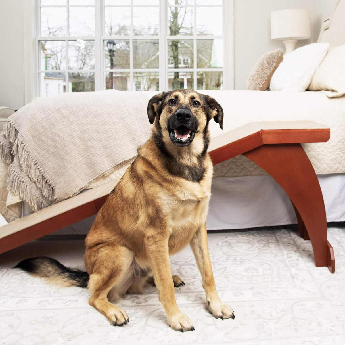 Wood Pet Ramp with Carpet Surface Z412918