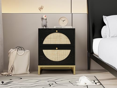 Black 2-Drawer Rattan Wood Nightstand M695