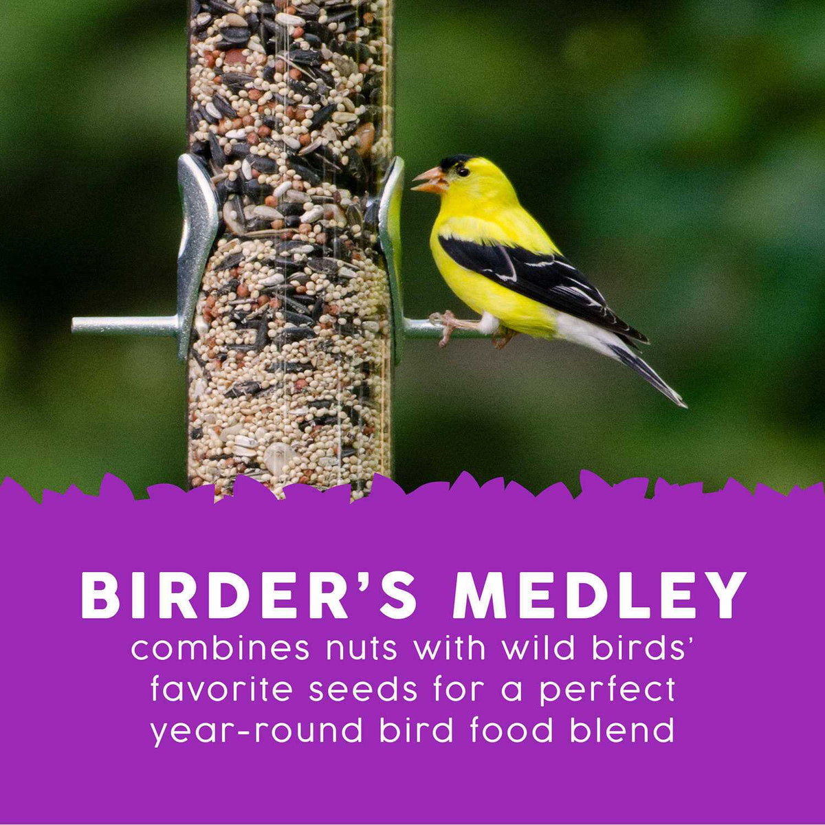 Birder's Medley Wild Bird Food I93291