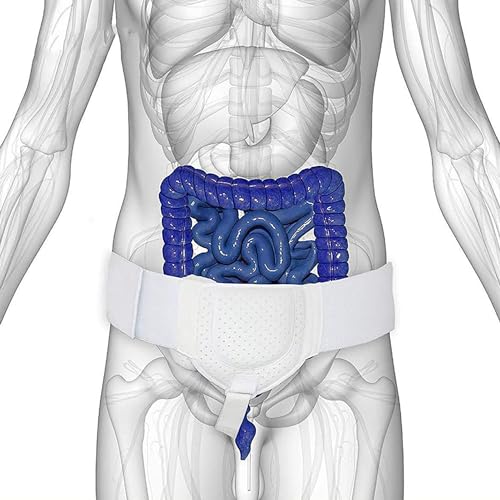 Adjustable Medical Inguinal Hernia Support Truss U2580