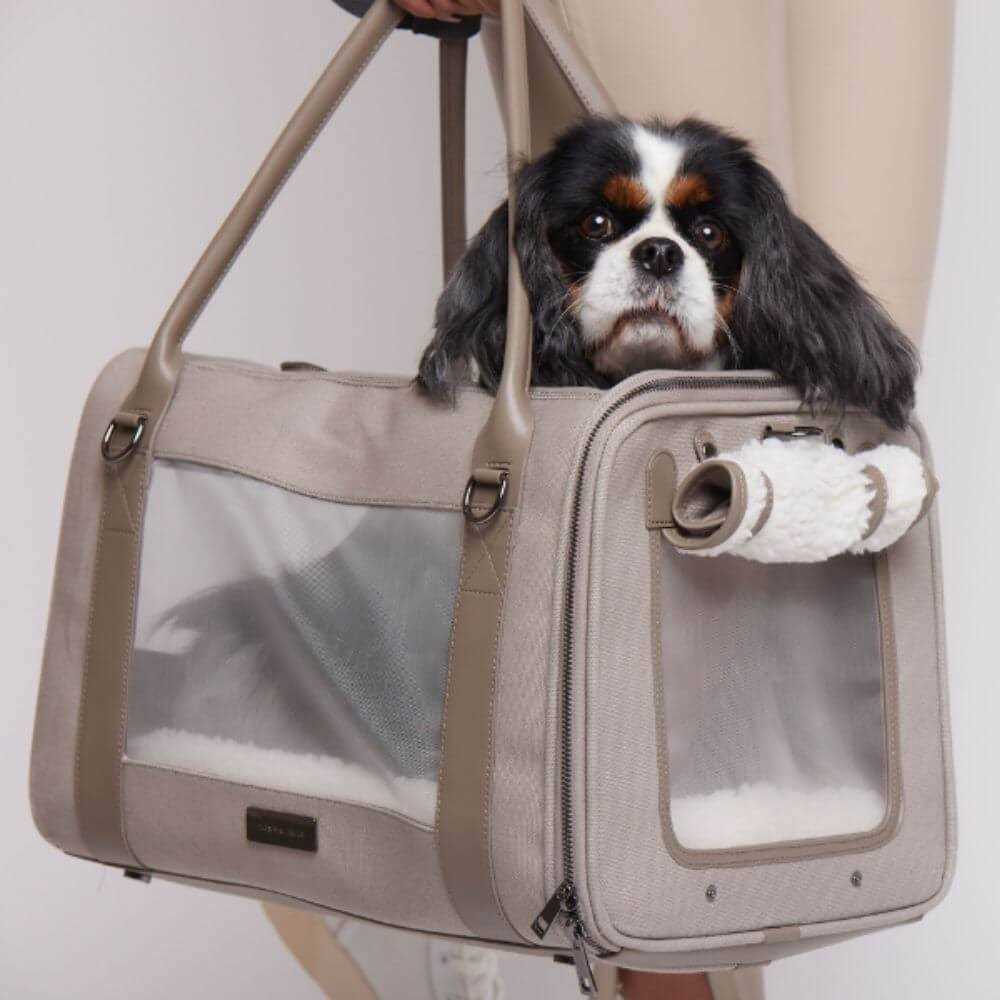 Modern Dog Carrier Bag P589
