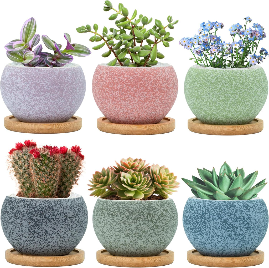 6 Pack 3 inch Ceramic Flower Pots with Drainage H4459