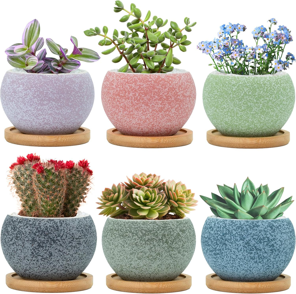 6 Pack 3 inch Ceramic Flower Pots with Drainage H4459