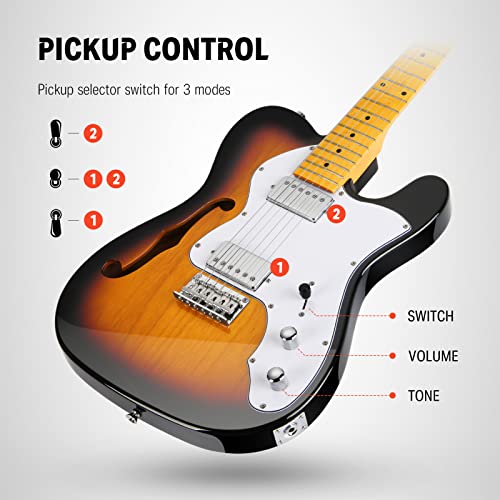 39 Inch Full Size Hollow Electric Guitar with H-H Pickups F87859