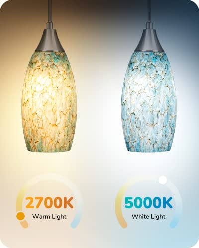 Glass Plug in Pendant Light with Handcrafted Art Glass Shade N253347