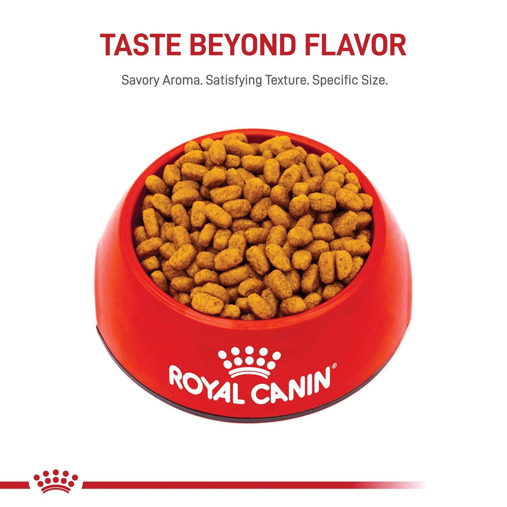 Adult Maltese Dry Dog Food T82470
