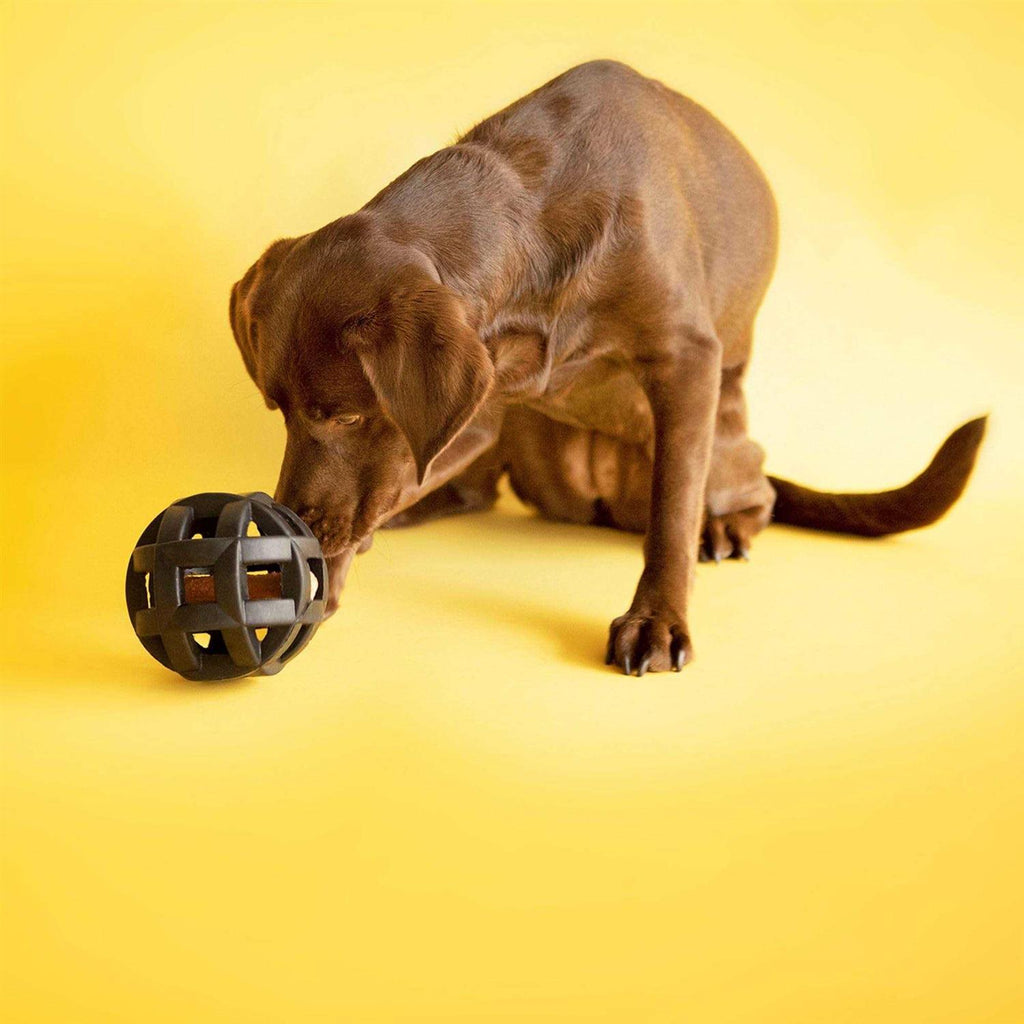 Dog Toy F289702