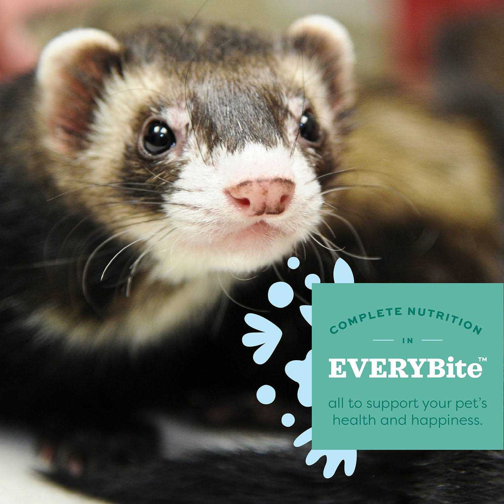 Ferret Food Q6783