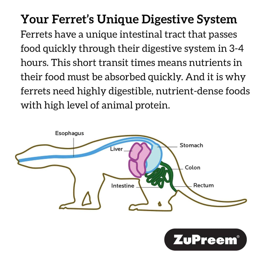 Premium Ferret Diet Y6216