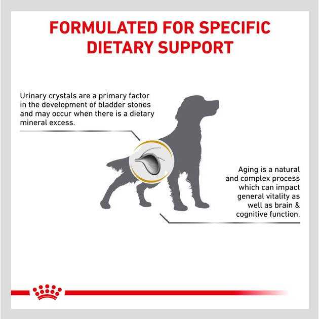Aging 7+ Dry Dog Food J39600