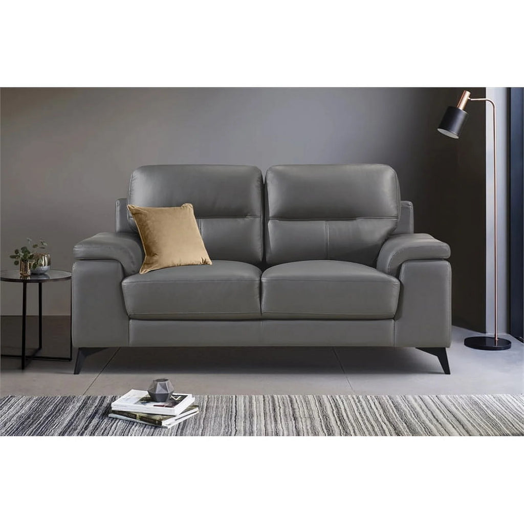 Dark Gray Leather 2-Piece Upholstered Sofa Set L245335