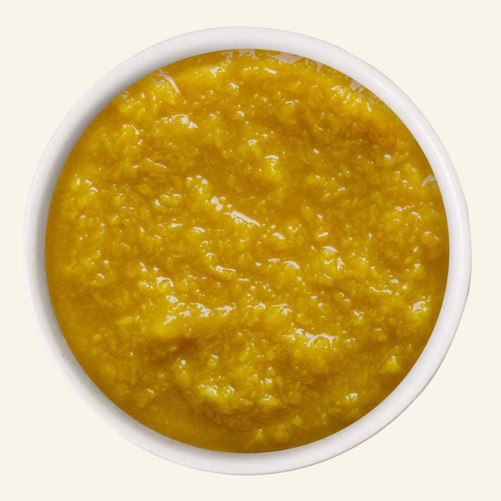 Pumpkin Patch Up Pet Supplies P92558