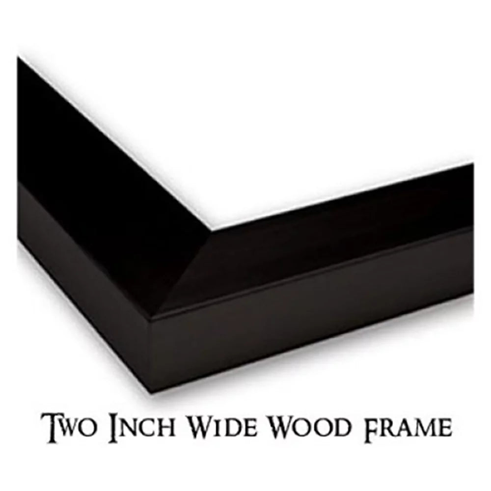 Black Framed Museum Art Print X233803