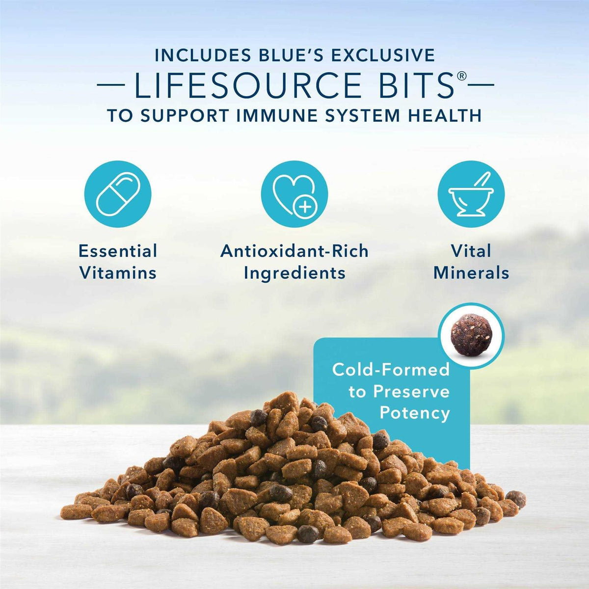 Adult Lamb & Brown Rice Dry Dog Food G923907