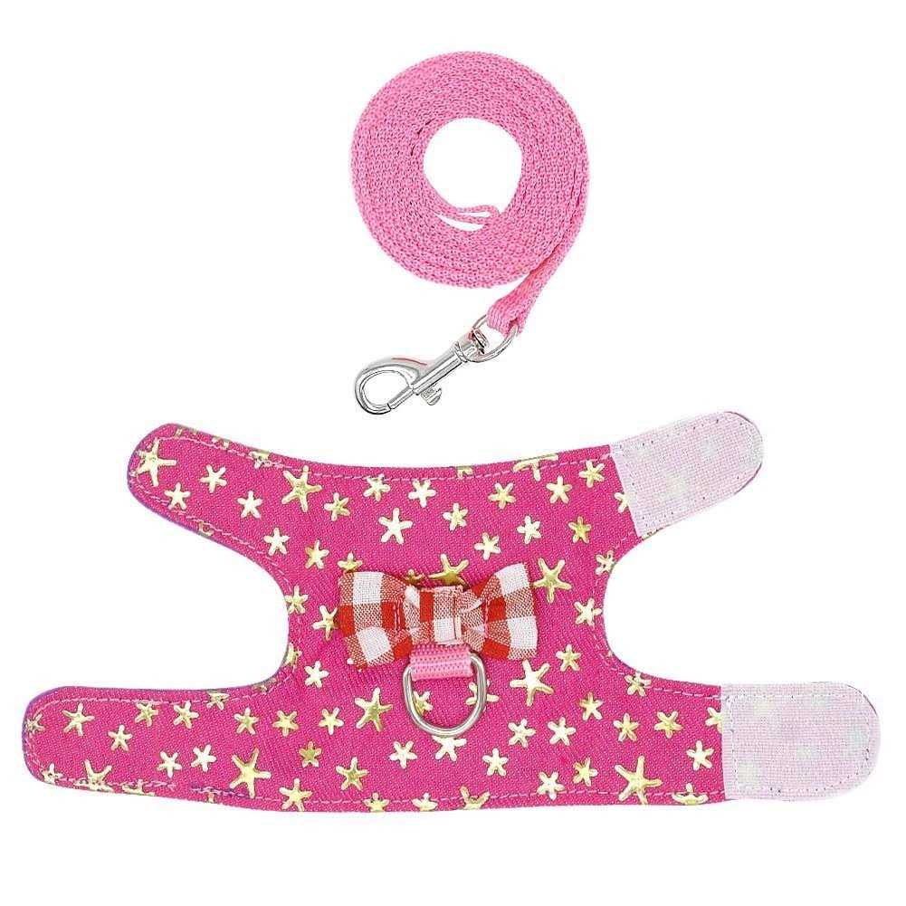 Small Pet Outdoor Walking Harness Vest and Leash Set X36009