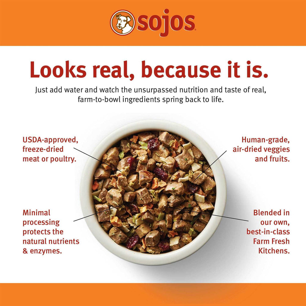 Beef Recipe Dog Food N851