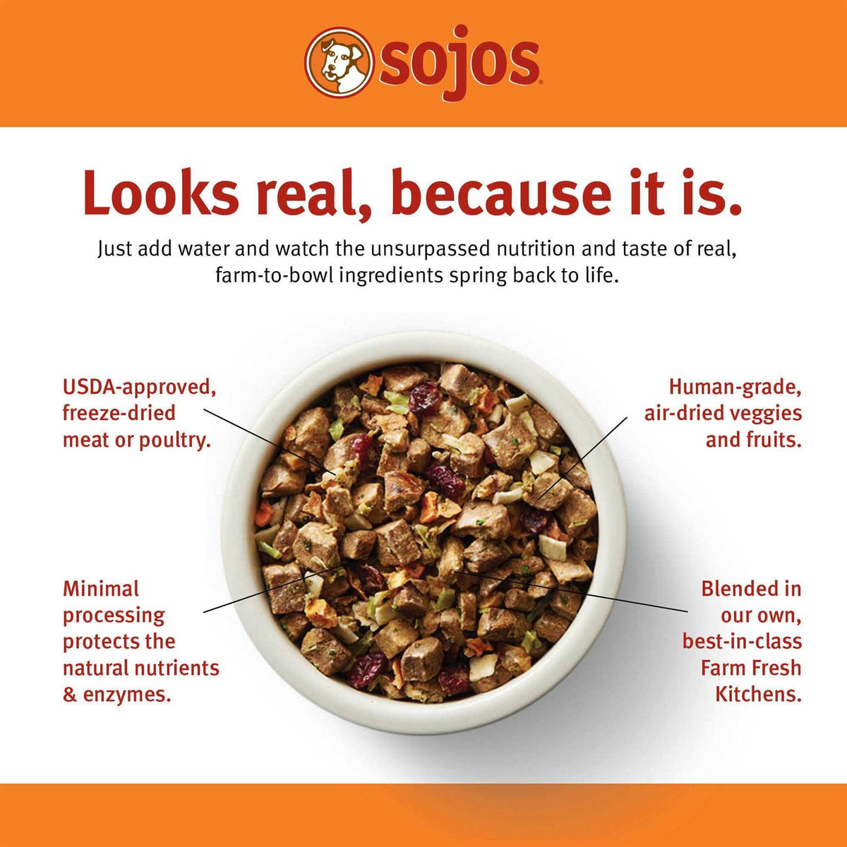 Beef Recipe Dog Food N851