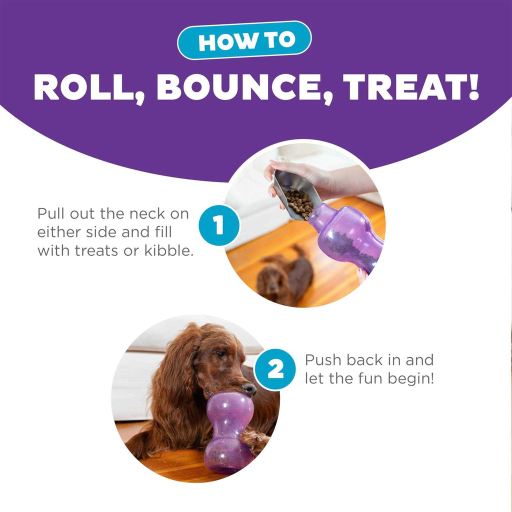 Durable Interactive Dog Toy H269