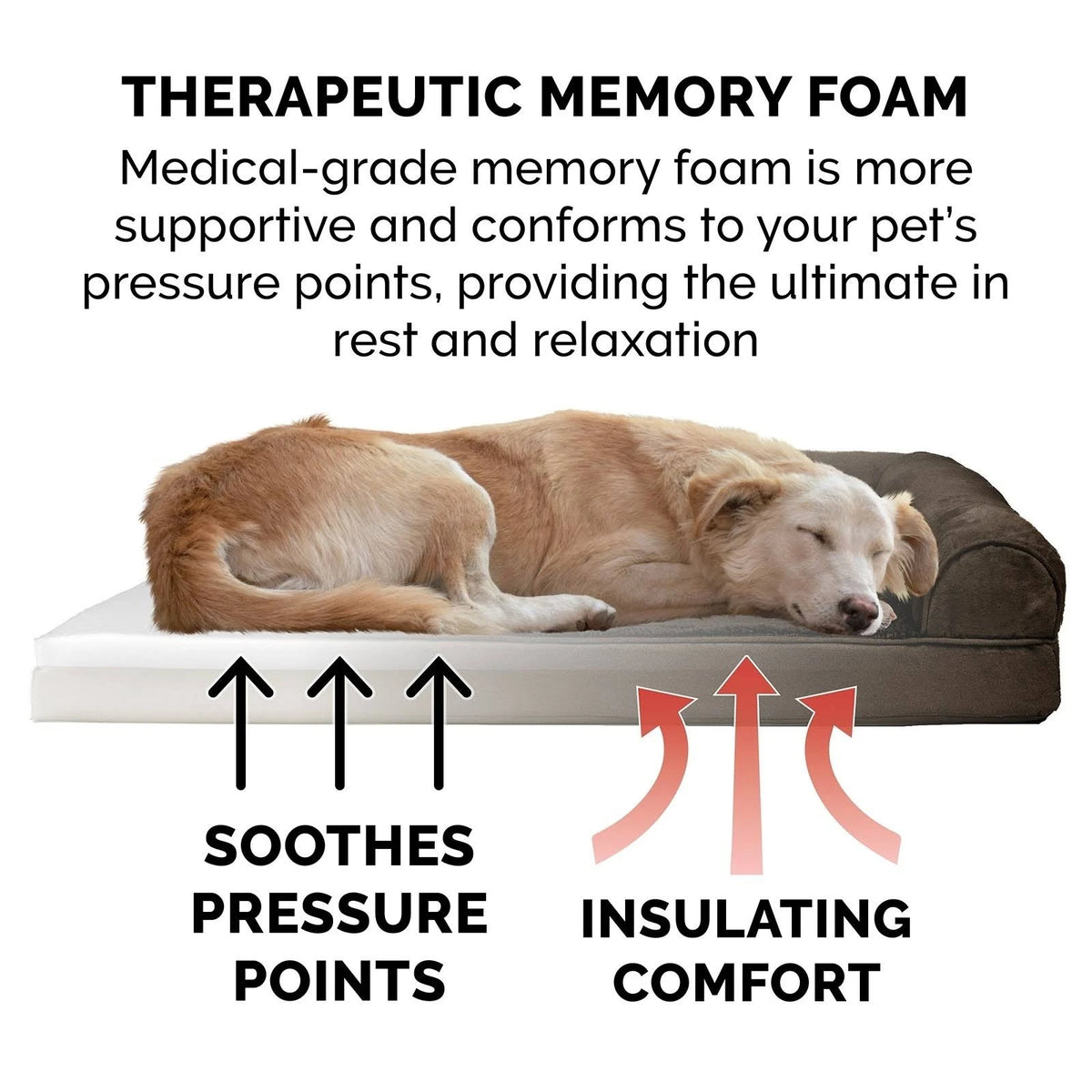 Espresso Plush Suede Memory Foam Sofa Dog Bed D252884