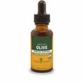 Olive Liquid Extract X608984