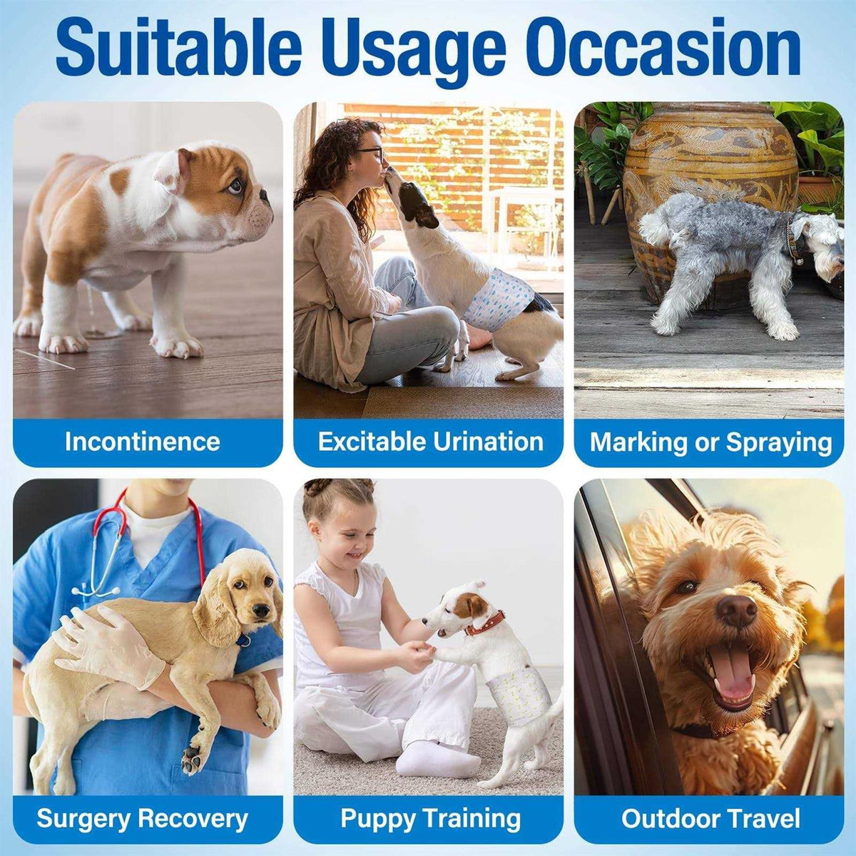 Soft Disposable Male Dog Wraps S550