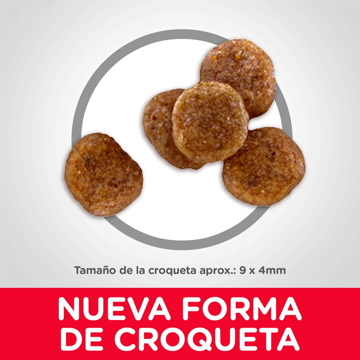 Adult 7+ Small Bites Chicken Meal Dry Dog Food C60588