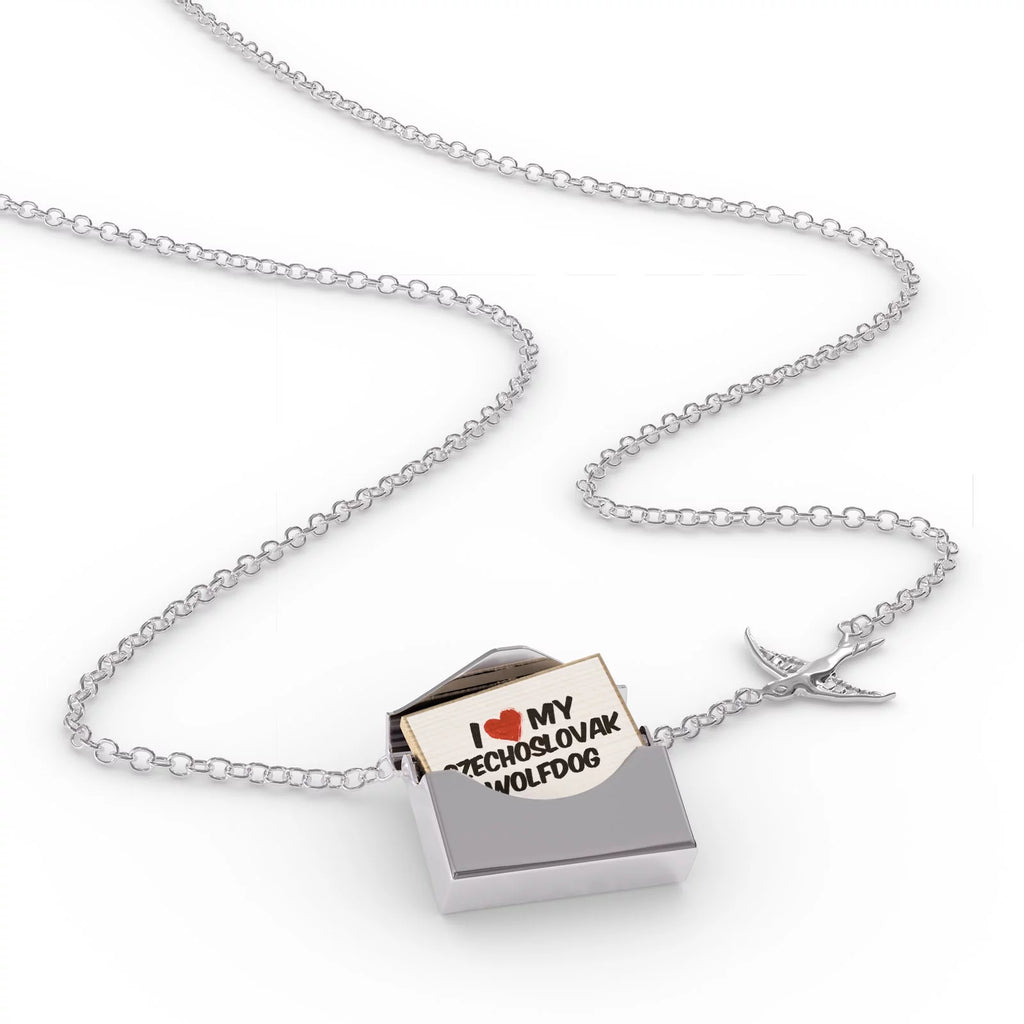 Silver Locket Necklace O93203