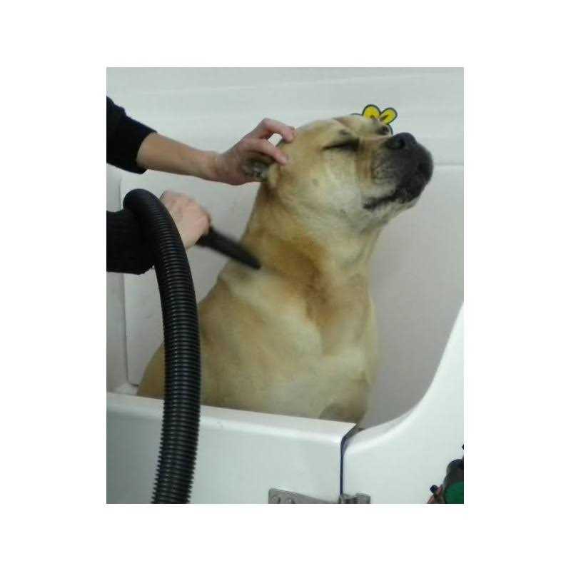 Pet Hair Dryer R97180