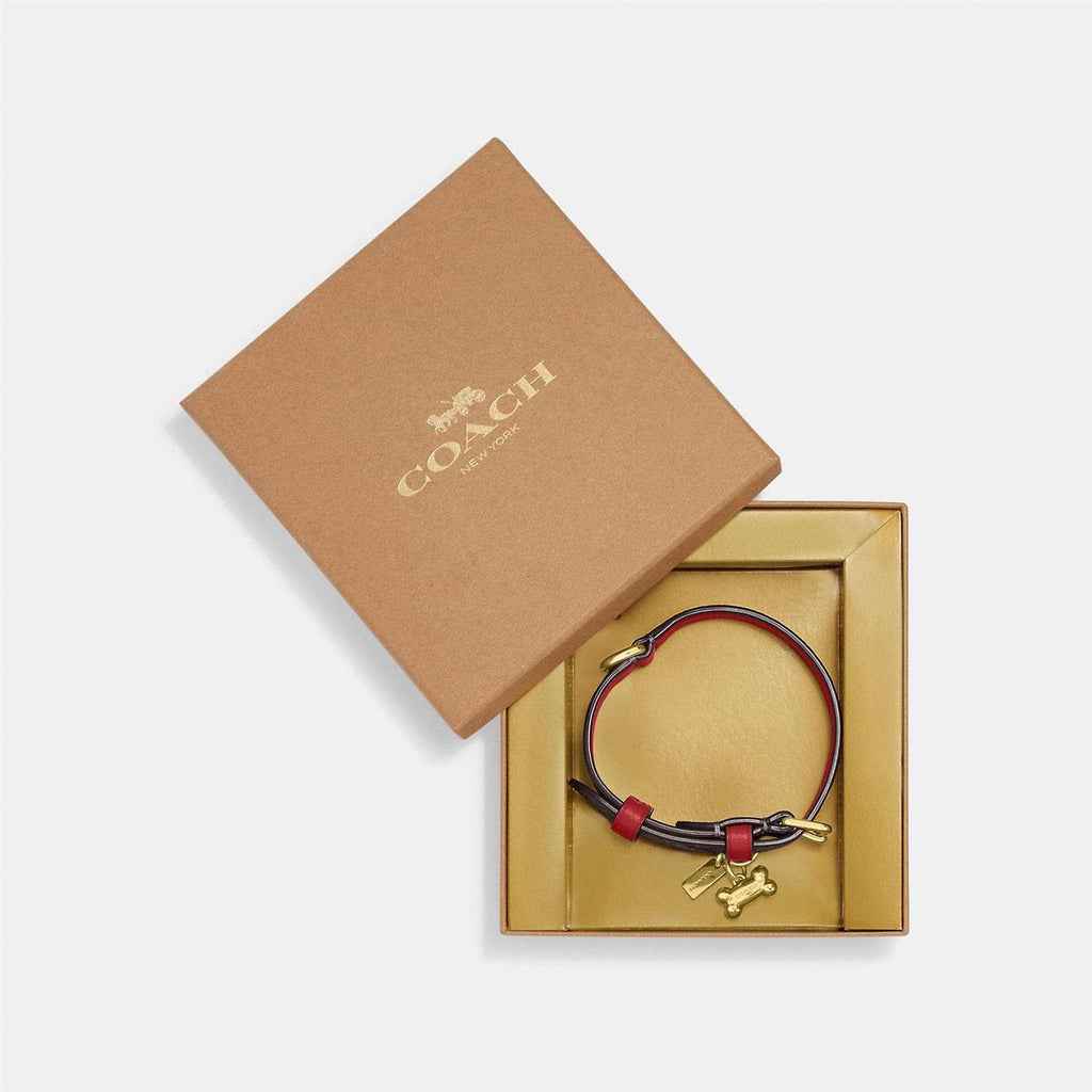 Boxed Pet Collar In Signature Canvas A8923