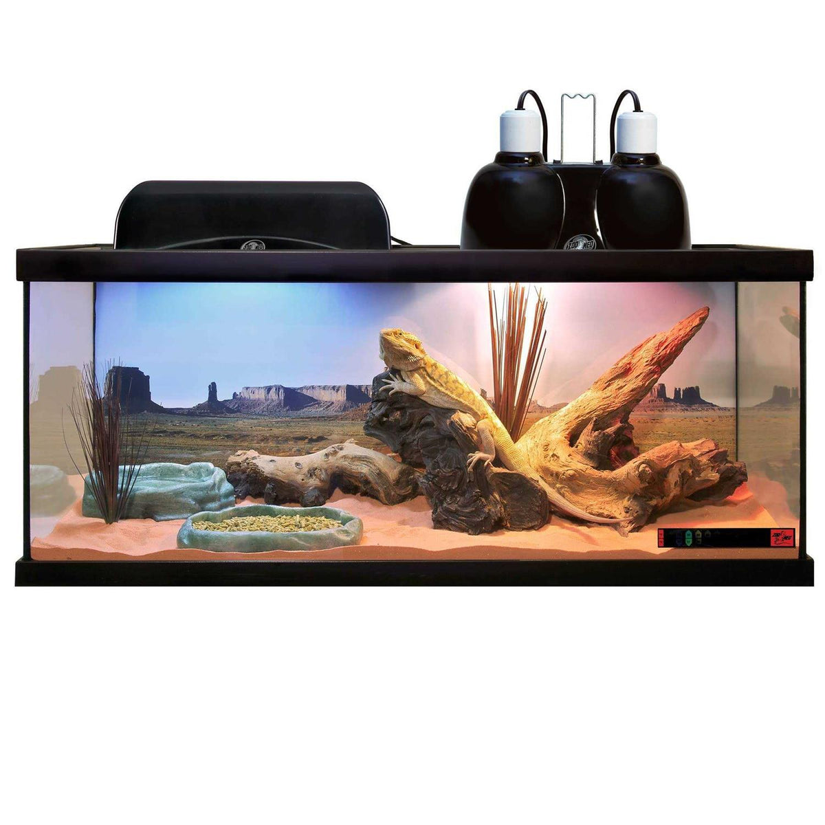 Daylight Blue Reptile Bulb Y2523