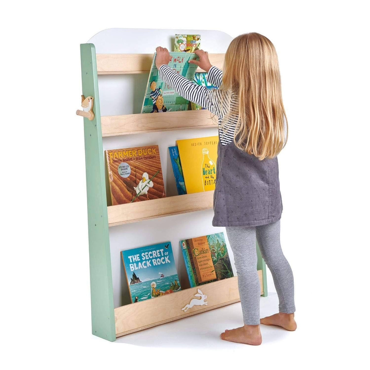 Forest Bookcase K160