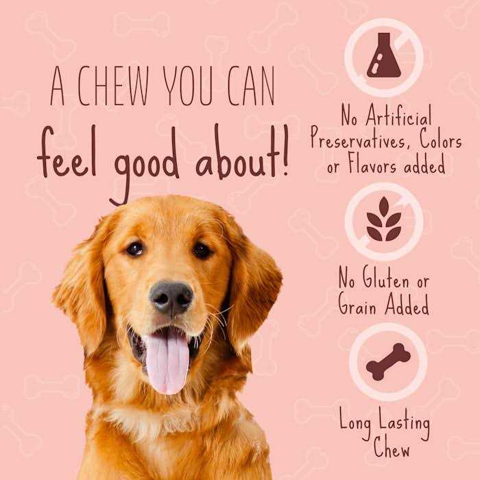 Real Dog Treats V866838