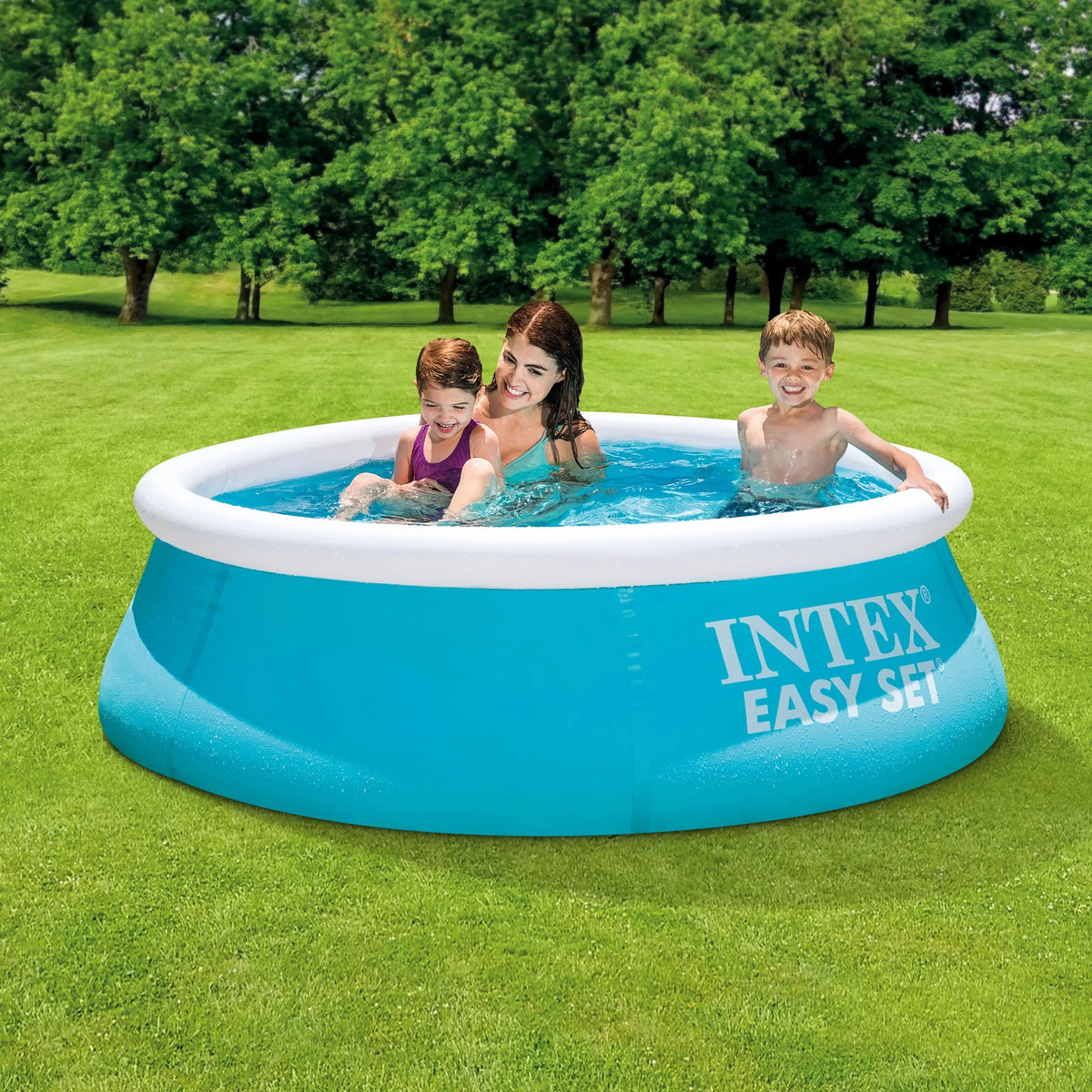 Inflatable Above Ground Pool D389