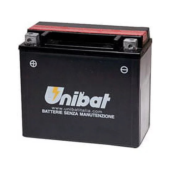 Maintenance-Free Battery with Acid C867