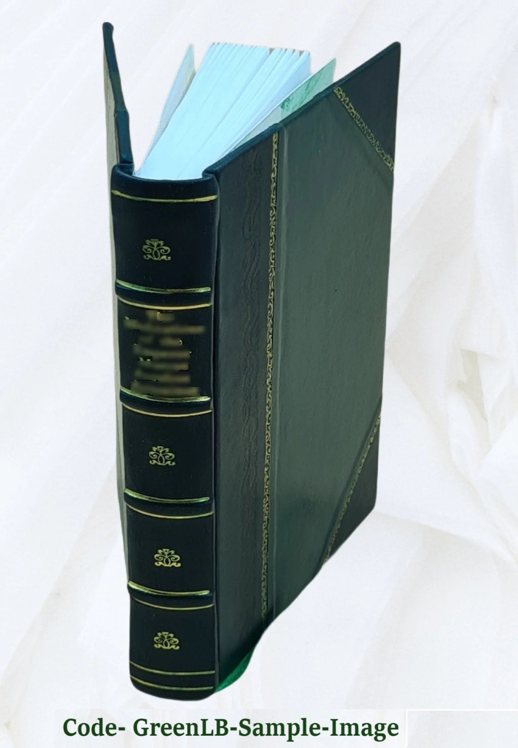 King William County Virginia Homes and Families Leather Bound O7643