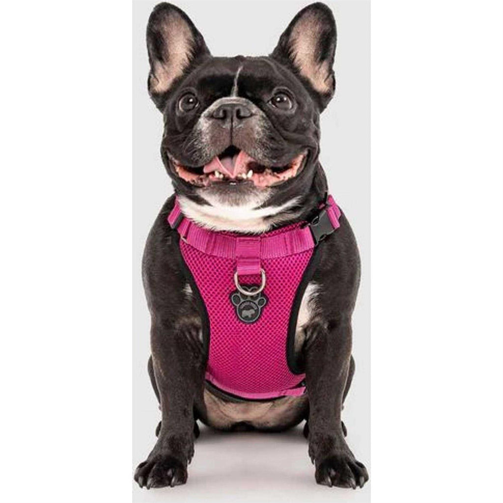 Dog Harness M656