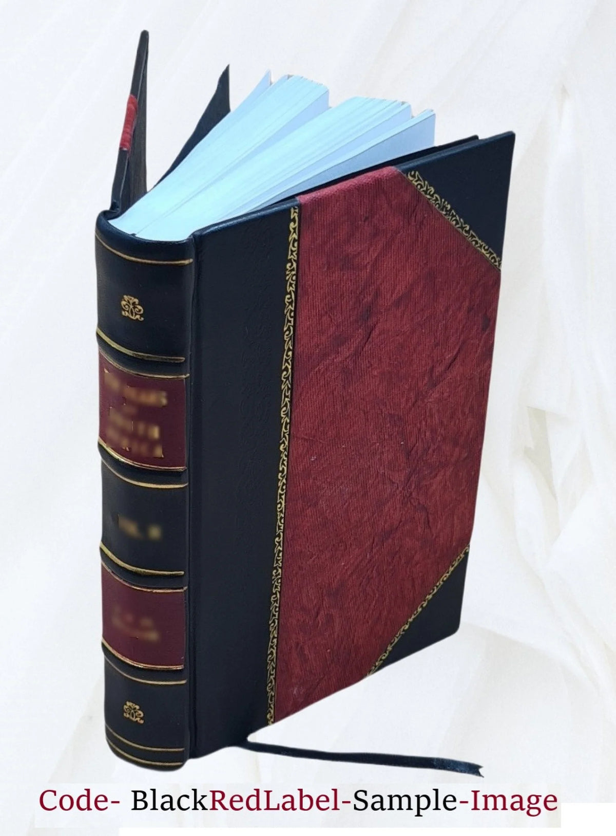 King William County Virginia Homes and Families Leather Bound O7643